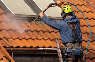 Démoussage et hydrofuge de toiture à Porte-des-Bonnevaux
